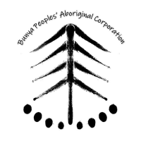 Bunya People's Aboriginal Corporation Logo